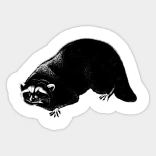 Mongoose Vintage // Pencil Drawing Sticker